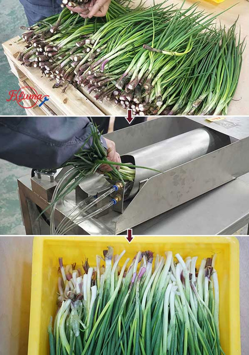 Semi-Auto Pneumatic Shallot Spring Onion Scallion Peeler Machine