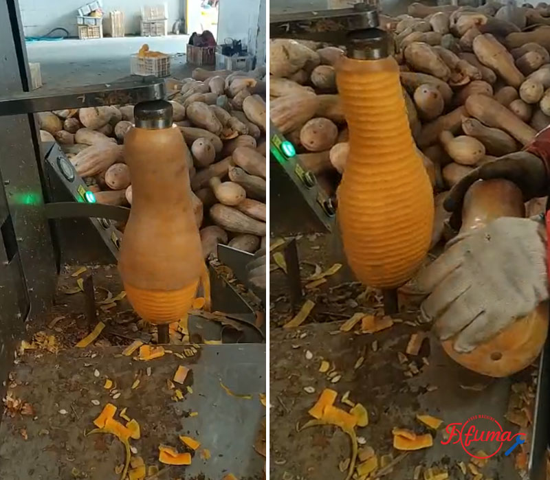 Pumpkin Processing Equipment: Complete Line for Peeling, Washing and Dicing