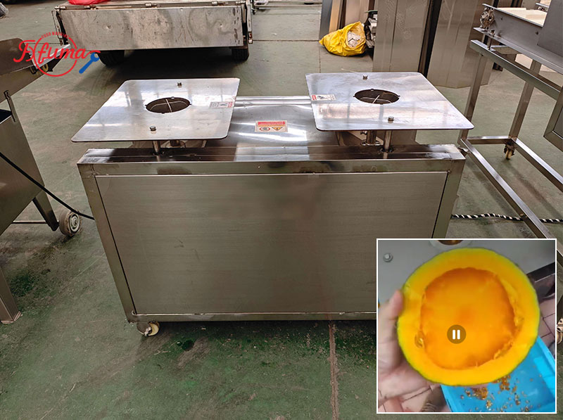 Pumpkin Processing Equipment: Complete Line for Peeling, Washing and Dicing