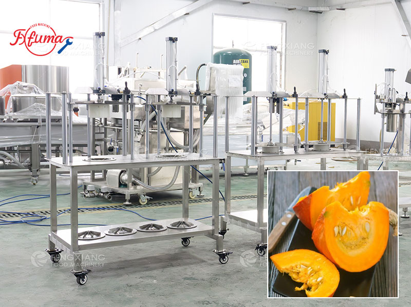 Pumpkin Processing Equipment: Complete Line for Peeling, Washing and Dicing