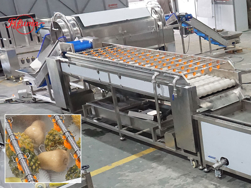 Pumpkin Processing Equipment: Complete Line for Peeling, Washing and Dicing