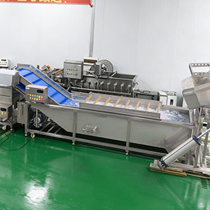 Pumpkin Processing Equipment: Complete Line for Peeling, Washing and Cutting