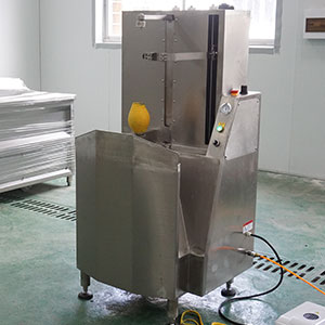 Pumpkin Processing Equipment: Complete Line for Peeling, Washing and Cutting