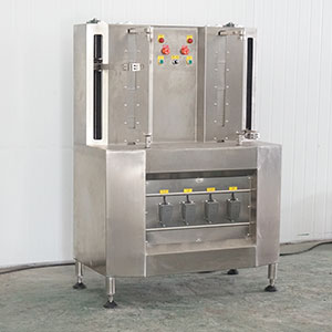 Pumpkin Processing Equipment: Complete Line for Peeling, Washing and Cutting