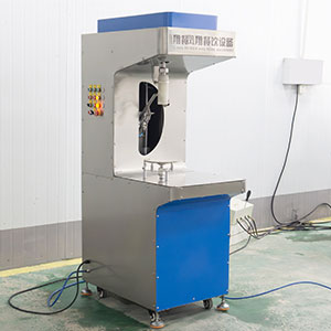 Pumpkin Processing Equipment: Complete Line for Peeling, Washing and Cutting