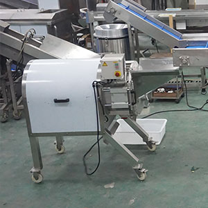 Pumpkin Processing Equipment: Complete Line for Peeling, Washing and Cutting