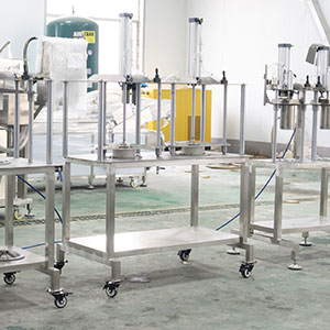 Pumpkin Processing Equipment: Complete Line for Peeling, Washing and Cutting