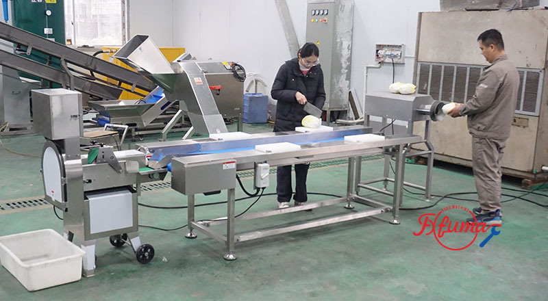 Semi-Automatic Cabbage Shredding Line 500kg/h with Coring Machine