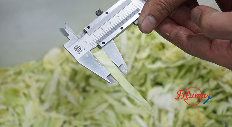 Semi-Automatic Cabbage Shredding Line 500kg/h with Coring Machine
