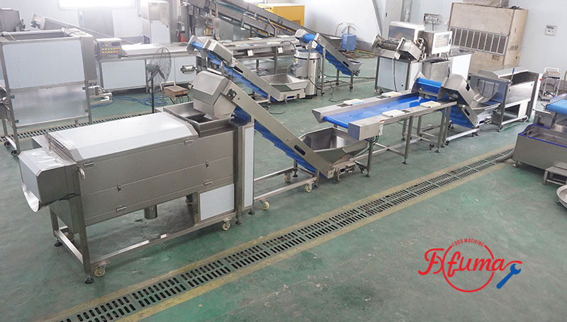 Carrot Processing Line - Washing, Cutting and Peeling Machine