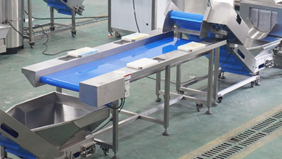 Carrot Processing Line - Washing, Cutting and Peeling Machine
