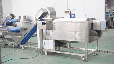 Carrot Processing Line - Washing, Cutting and Peeling Machine