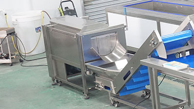 Carrot Processing Line - Washing, Cutting and Peeling Machine