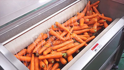 Carrot Processing Line - Washing, Cutting and Peeling Machine