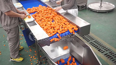 Carrot Processing Line - Washing, Cutting and Peeling Machine