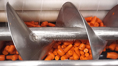 Carrot Processing Line - Washing, Cutting and Peeling Machine