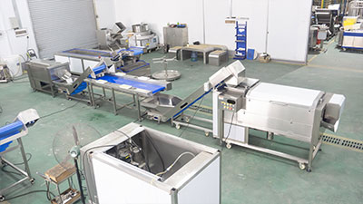 Carrot Processing Line - Washing, Cutting and Peeling Machine