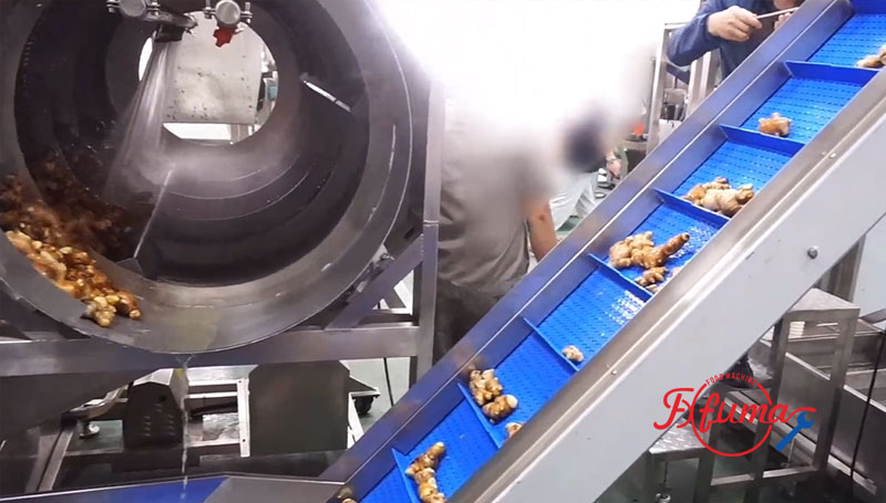 2t/h Galangal Turmeric Ginger Rotary Barrel Washing Machine with Lift Conveyor