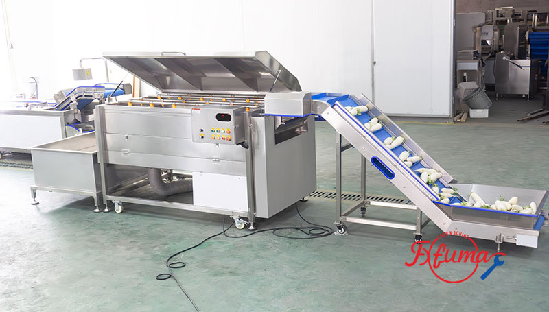Carrot Turnip White Raddish Brush Washer Machine with Elevator and Soaking Tank