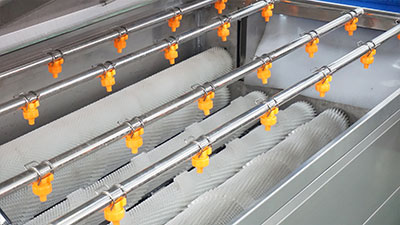 Carrot Turnip White Raddish Brush Washer Machine with Elevator and Soaking Tank