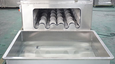 Carrot Turnip White Raddish Brush Washer Machine with Elevator and Soaking Tank