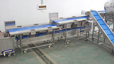 Pre-Cut Green Beans Processing Line