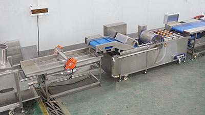 Pre-Cut Green Beans Processing Line