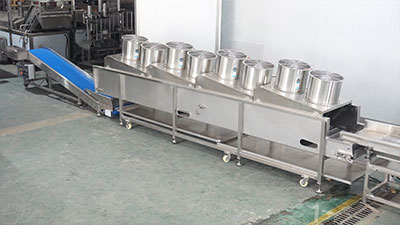Pre-Cut Green Beans Processing Line