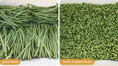Pre-Cut Green Beans Processing Line
