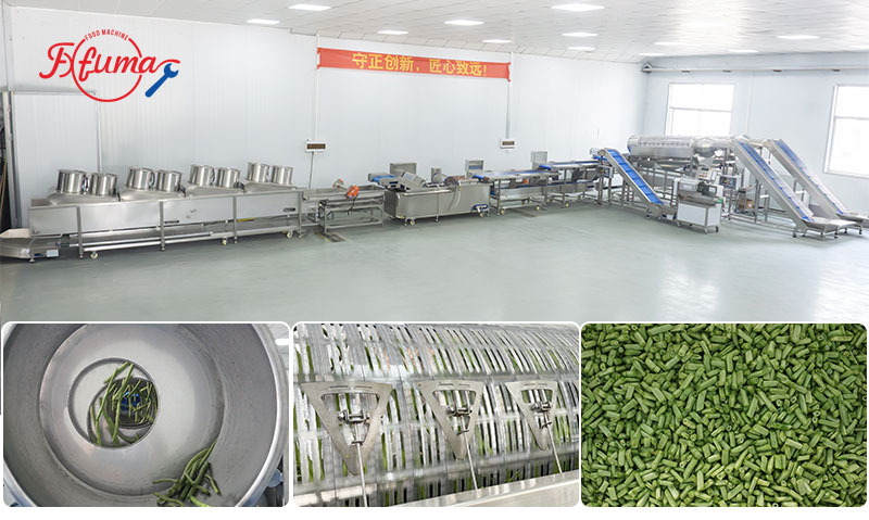 Pre-Cut Green Beans Processing Line