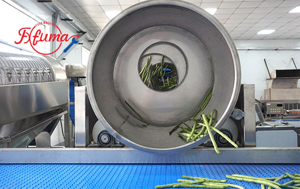 Pre-Cut Green Beans Processing Line