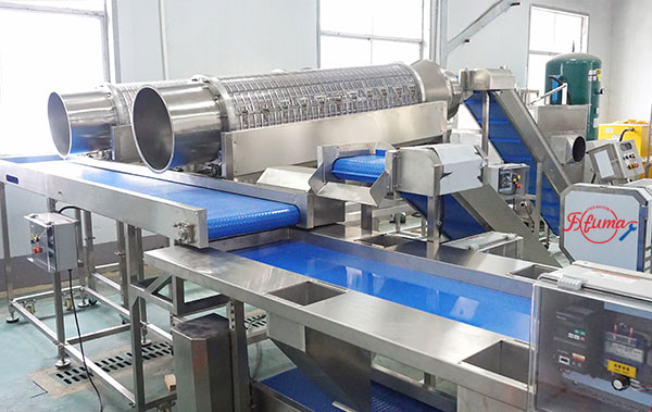Pre-Cut Green Beans Processing Line