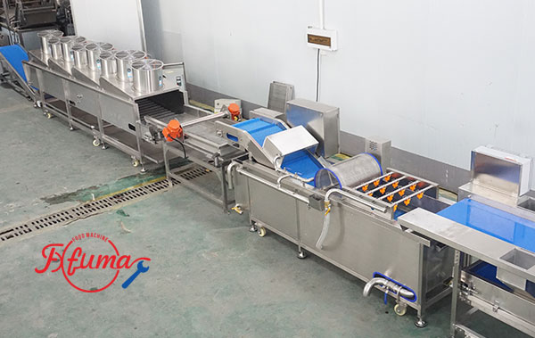 Pre-Cut Green Beans Processing Line