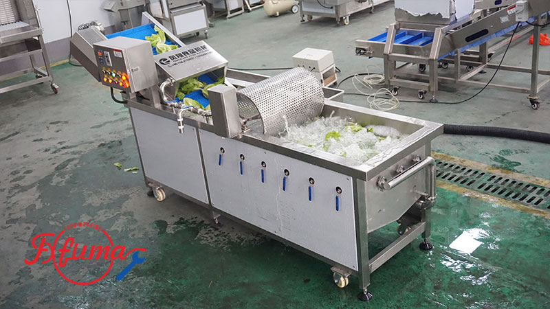 Commercial Vegetable Washer with Impurity Removal Drum WA-1000