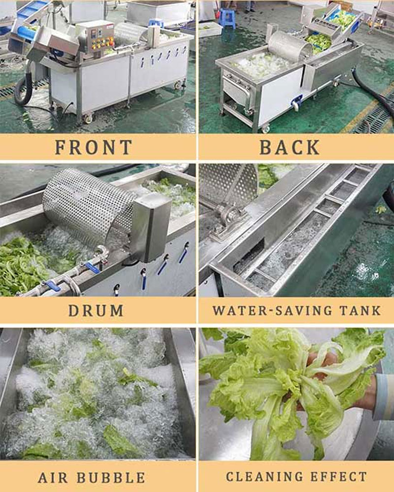 Commercial Vegetable Washer with Impurity Removal Drum WA-1000