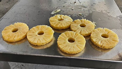 Pineapple Processing Equipment Set for Pineapple Cylinder, Slices, and Chunks
