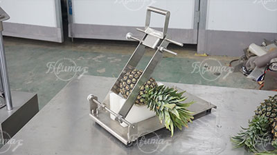 Pineapple Processing Equipment Set for Pineapple Cylinder, Slices, and Chunks