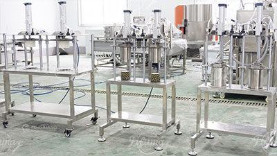 Pineapple Processing Equipment Set for Pineapple Cylinder, Slices, and Chunks
