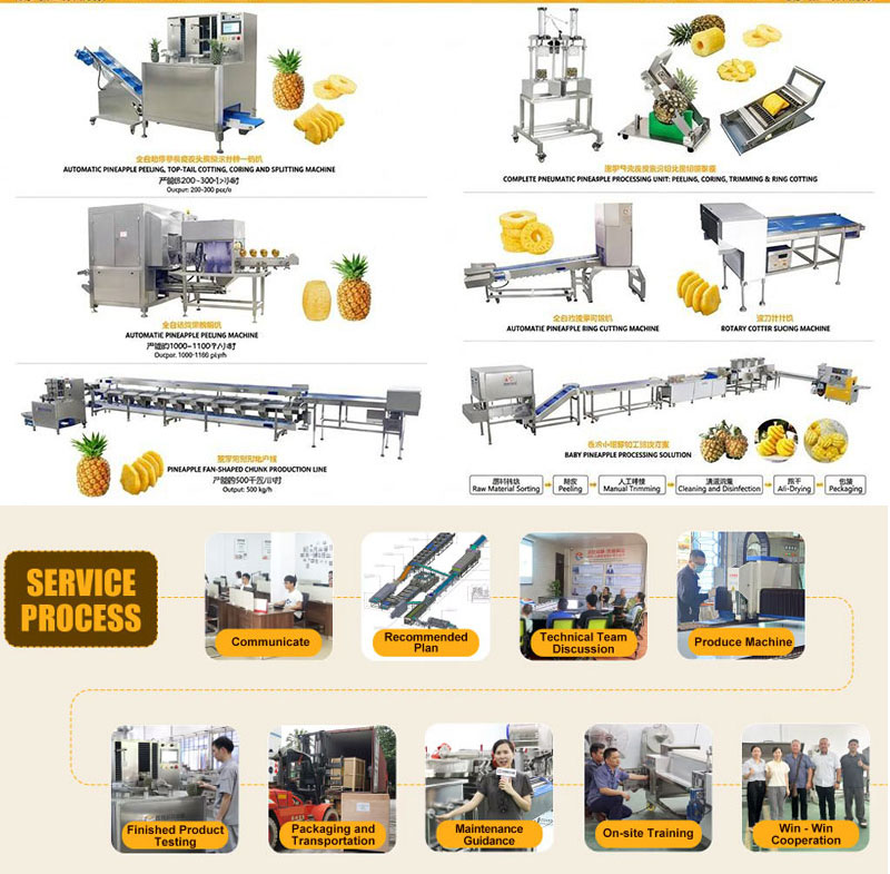 Pineapple Processing Equipment Set for Pineapple Cylinder, Slices, and Chunks