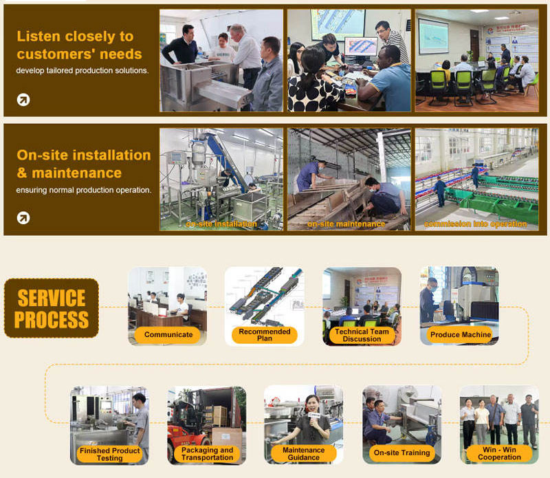 Pre-Cut Green Beans Processing Line