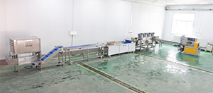 Pineapple Processing Line Solutions from China Supplier
