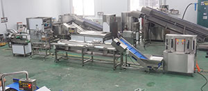 Pineapple Processing Line Solutions from China Supplier