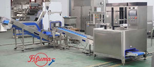 Pineapple Processing Line Solutions from China Supplier
