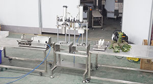 Pineapple Processing Line Solutions from China Supplier