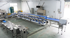 Pineapple Processing Line Solutions from China Supplier