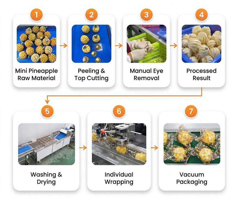 Pineapple Processing Line Solutions from China Supplier