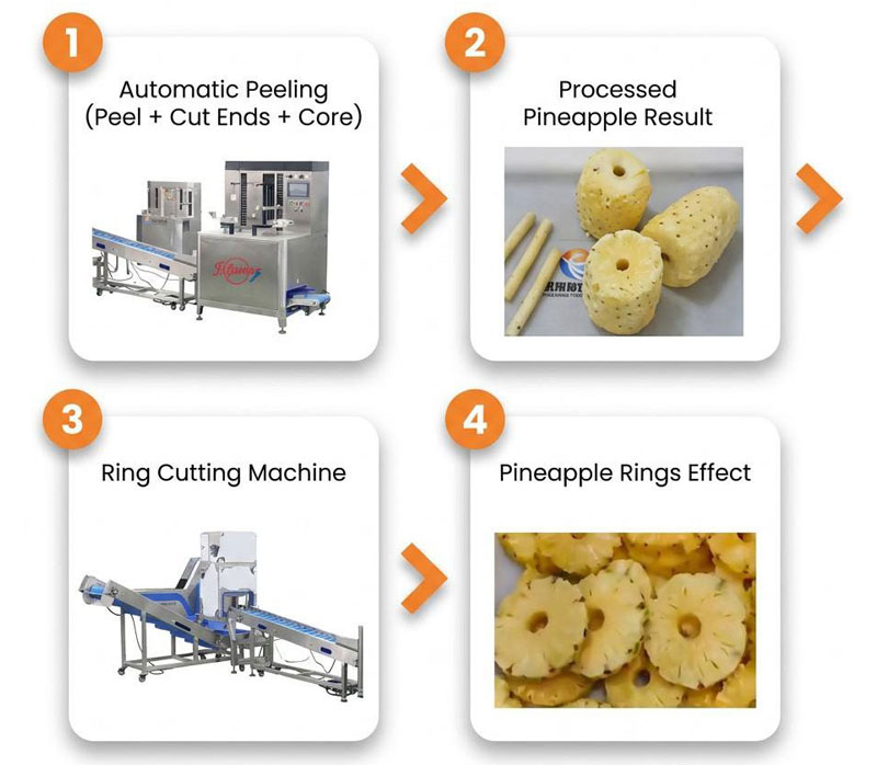 Pineapple Processing Line Solutions from China Supplier