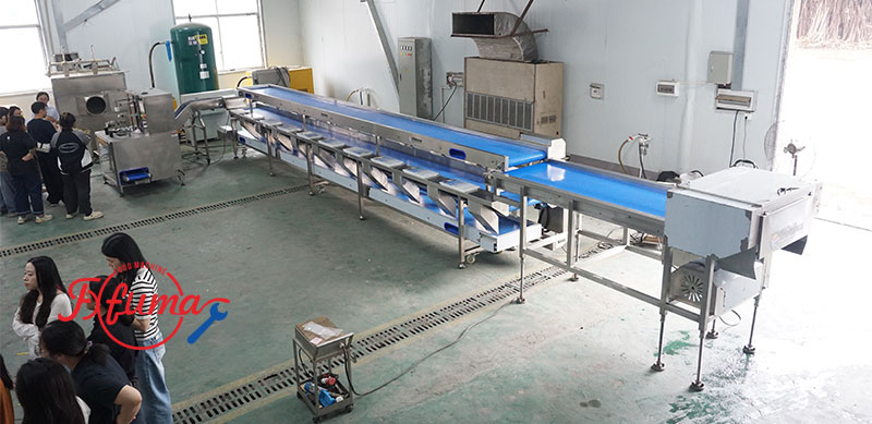 Pineapple Processing Lines in Action: 5 Factory Cases — Mini Pineapple, Fan Slices, Rings