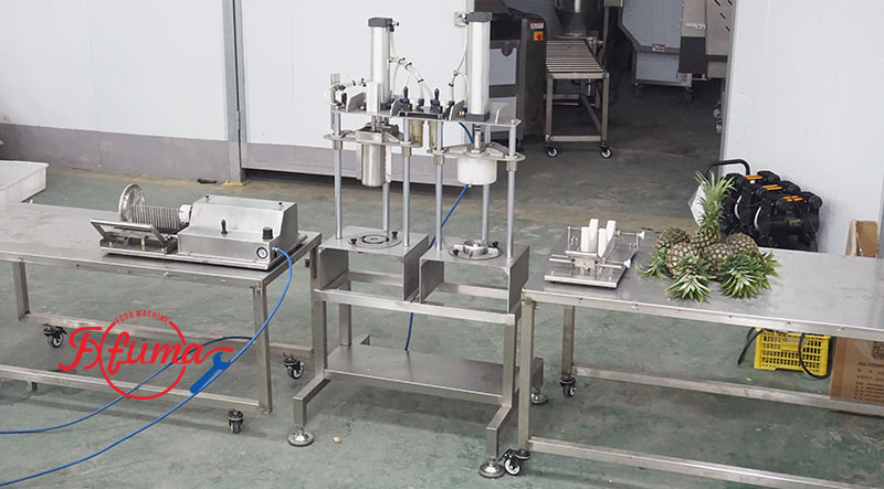 Pineapple Processing Lines in Action: 5 Factory Cases — Mini Pineapple, Fan Slices, Rings