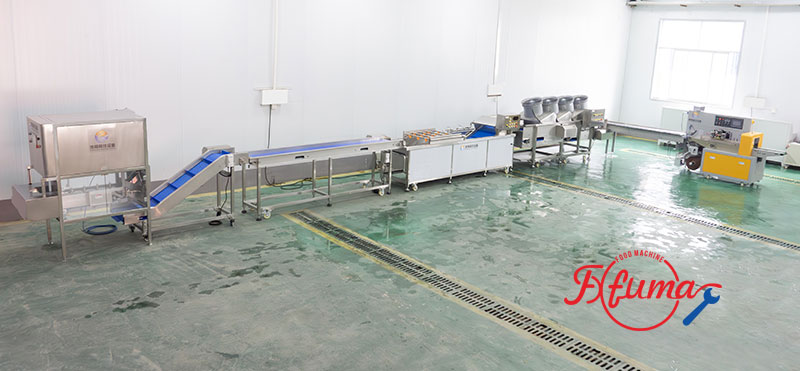 Pineapple Processing Lines in Action: 5 Factory Cases — Mini Pineapple, Fan Slices, Rings